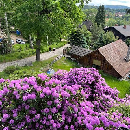 Apartament Wiktoria Szklarska Poreba Luaran gambar